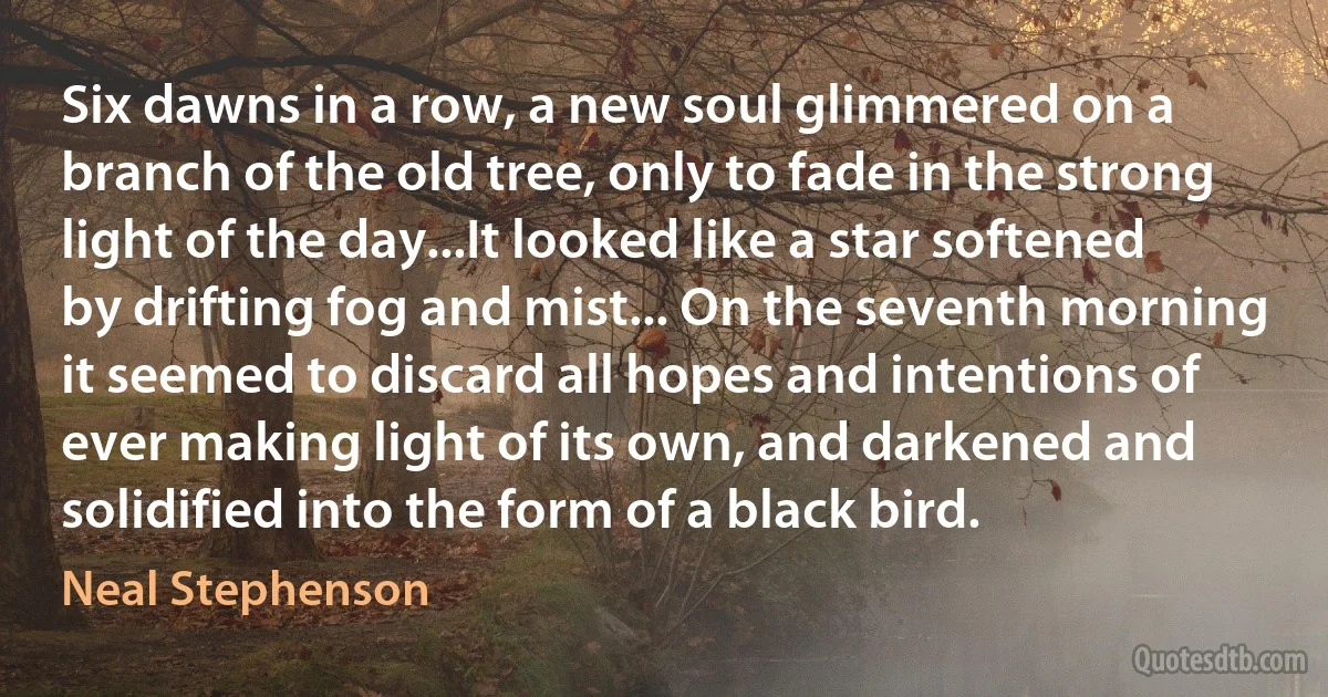 Six dawns in a row, a new soul glimmered on a branch of the old tree, only to fade in the strong light of the day...It looked like a star softened by drifting fog and mist... On the seventh morning it seemed to discard all hopes and intentions of ever making light of its own, and darkened and solidified into the form of a black bird. (Neal Stephenson)