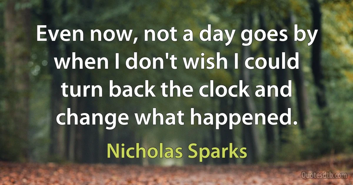 Even now, not a day goes by when I don't wish I could turn back the clock and change what happened. (Nicholas Sparks)