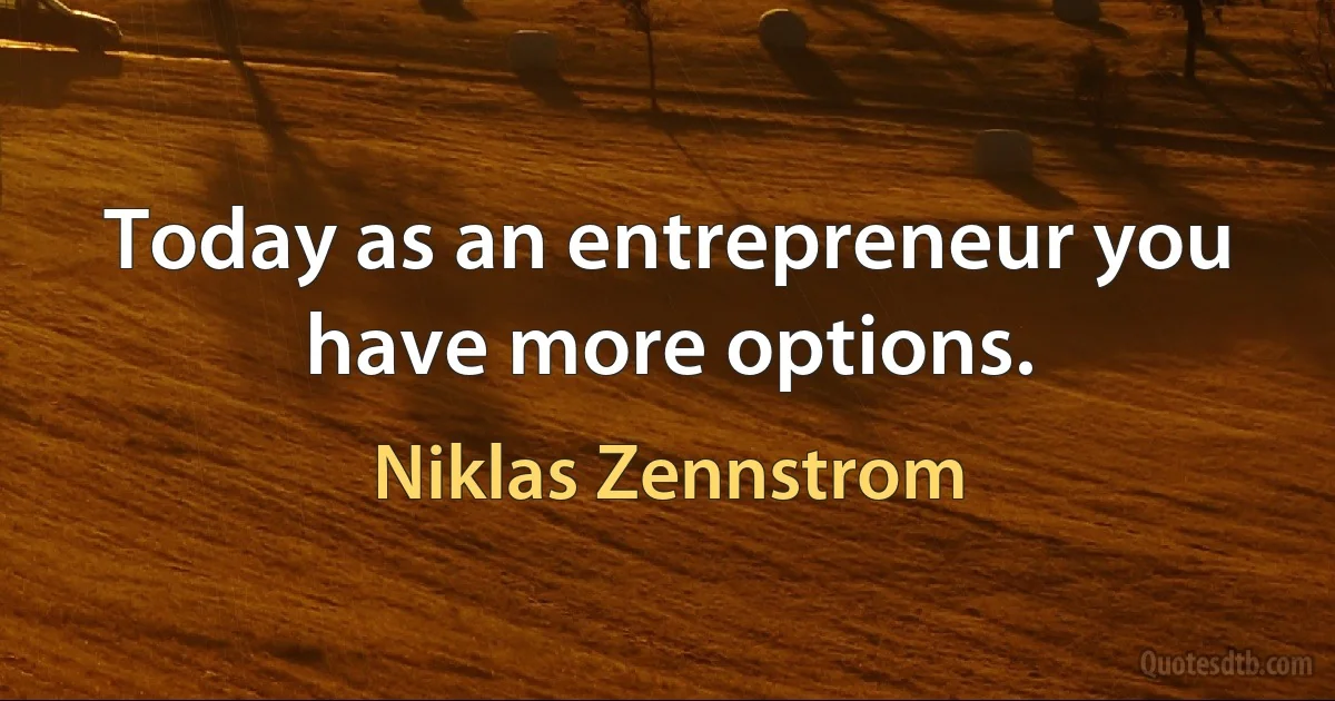 Today as an entrepreneur you have more options. (Niklas Zennstrom)