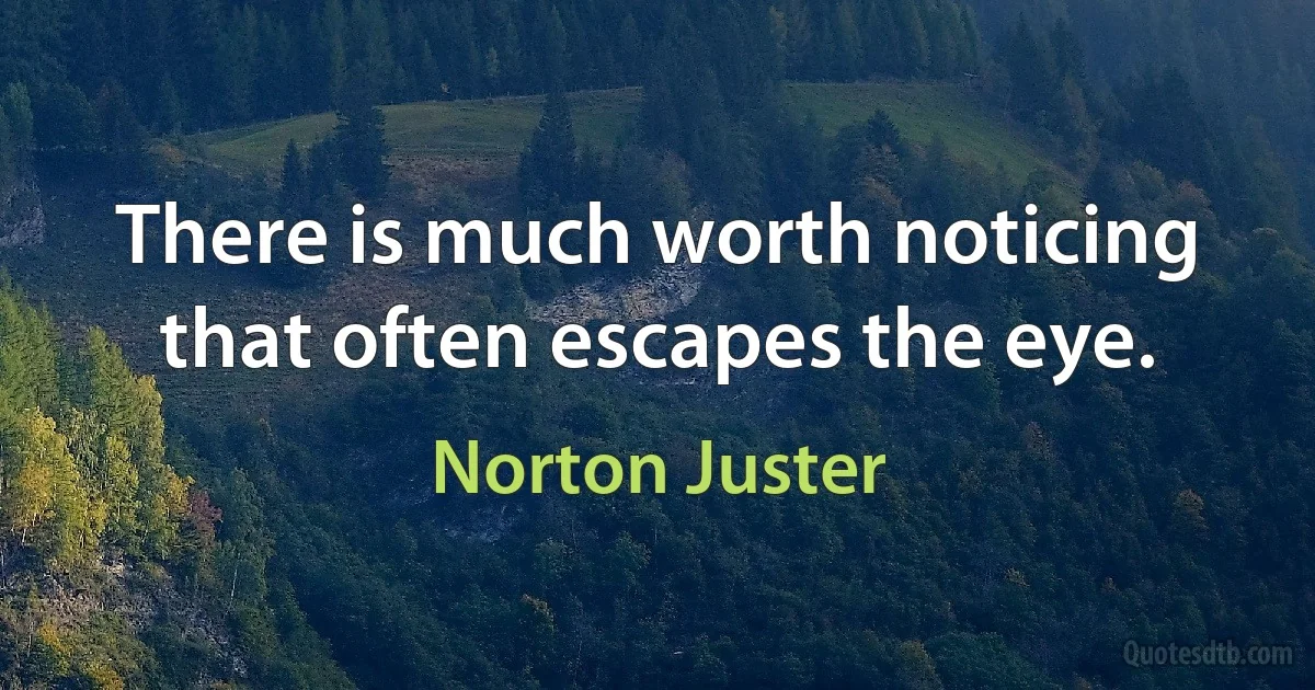 There is much worth noticing that often escapes the eye. (Norton Juster)