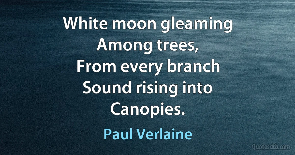 White moon gleaming
Among trees,
From every branch
Sound rising into
Canopies. (Paul Verlaine)