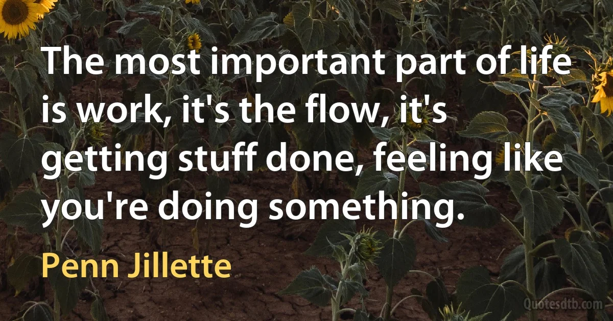 The most important part of life is work, it's the flow, it's getting stuff done, feeling like you're doing something. (Penn Jillette)