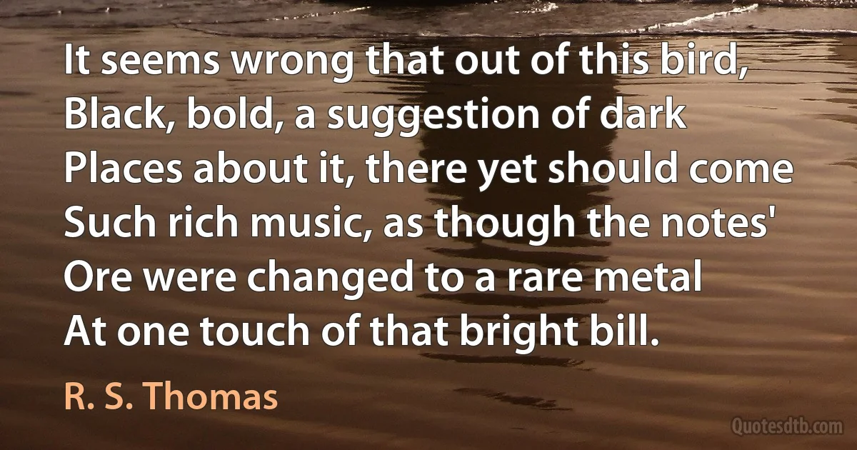 It seems wrong that out of this bird,
Black, bold, a suggestion of dark
Places about it, there yet should come
Such rich music, as though the notes'
Ore were changed to a rare metal
At one touch of that bright bill. (R. S. Thomas)