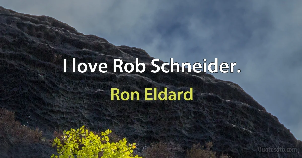 I love Rob Schneider. (Ron Eldard)