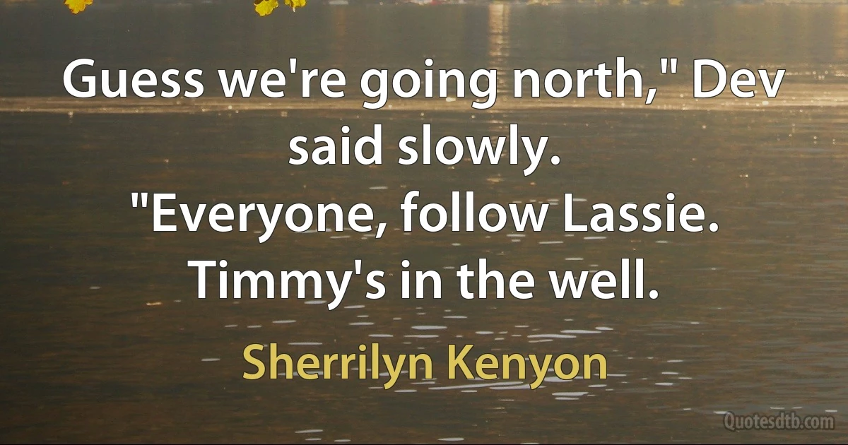 Guess we're going north," Dev said slowly.
"Everyone, follow Lassie. Timmy's in the well. (Sherrilyn Kenyon)