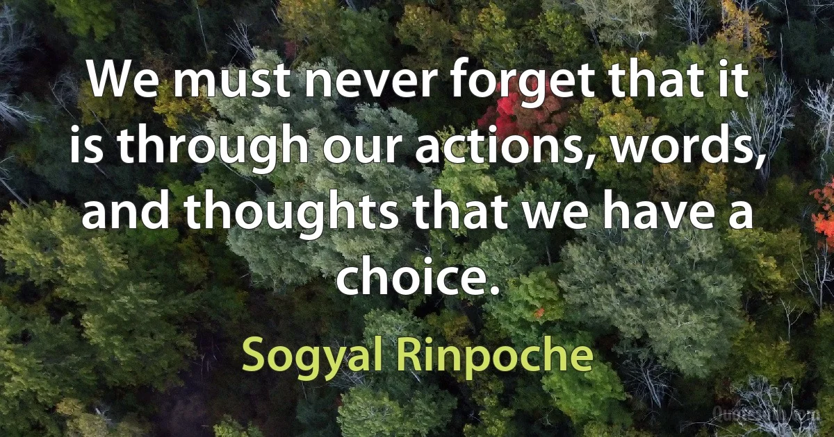 We must never forget that it is through our actions, words, and thoughts that we have a choice. (Sogyal Rinpoche)