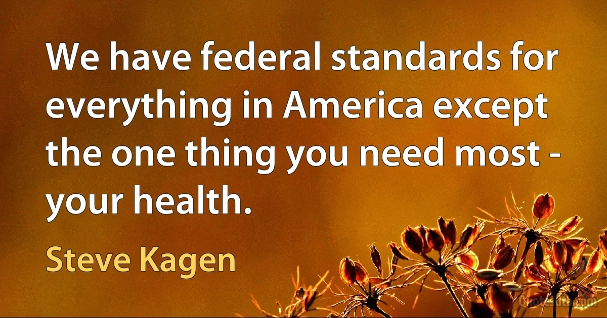 We have federal standards for everything in America except the one thing you need most - your health. (Steve Kagen)