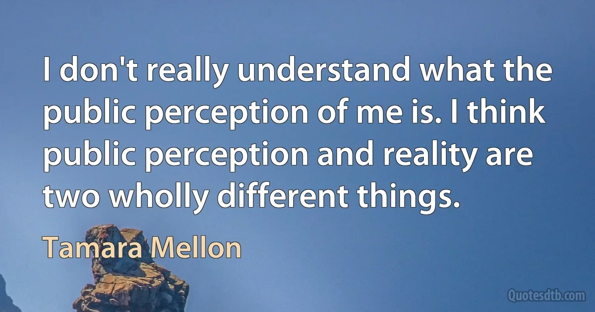 I don't really understand what the public perception of me is. I think public perception and reality are two wholly different things. (Tamara Mellon)