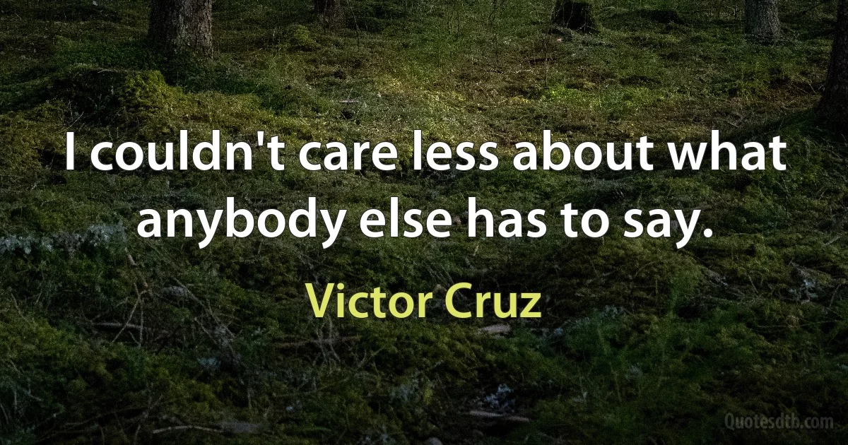 I couldn't care less about what anybody else has to say. (Victor Cruz)