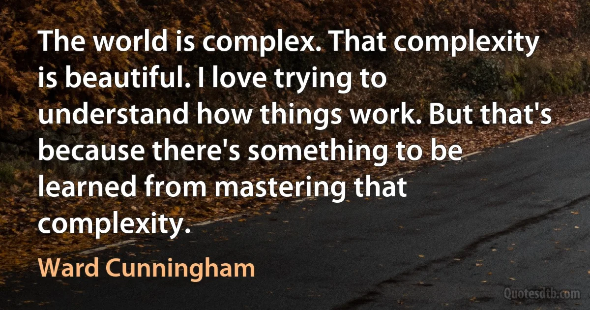 The world is complex. That complexity is beautiful. I love trying to understand how things work. But that's because there's something to be learned from mastering that complexity. (Ward Cunningham)