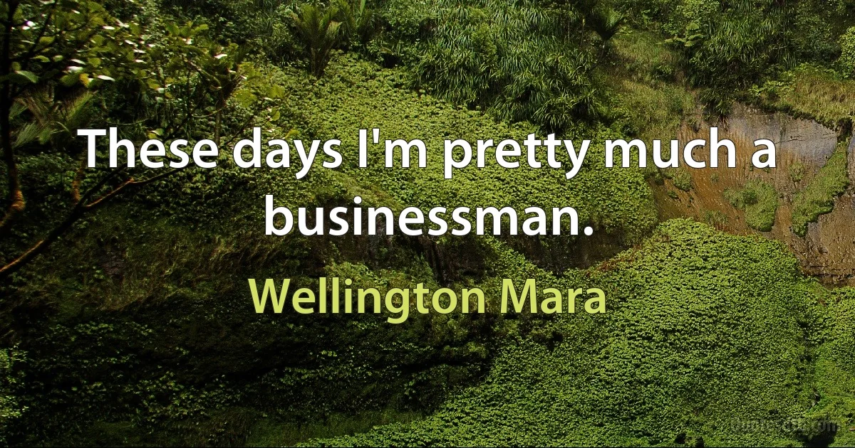 These days I'm pretty much a businessman. (Wellington Mara)