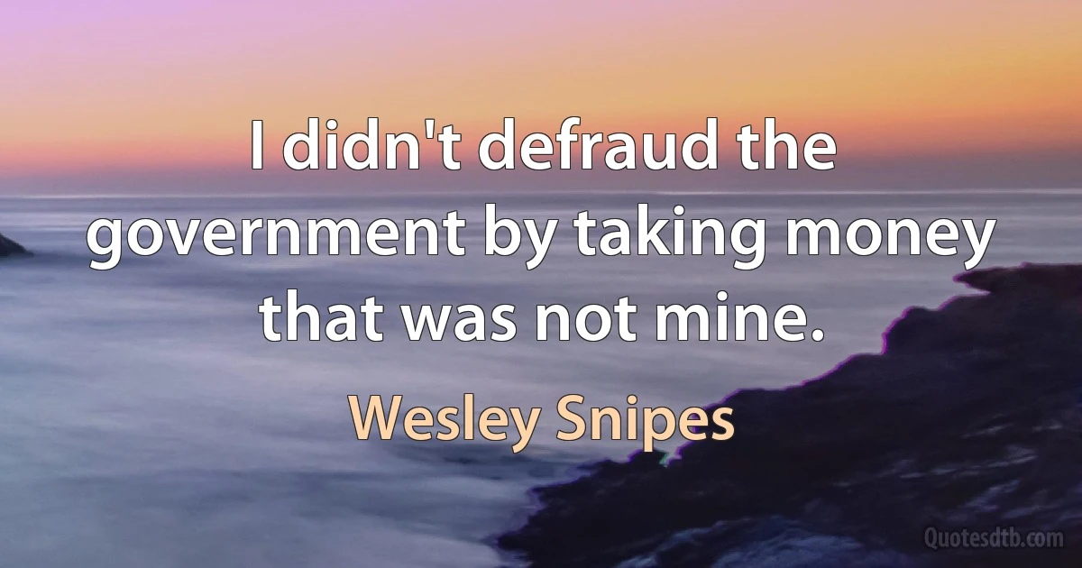 I didn't defraud the government by taking money that was not mine. (Wesley Snipes)