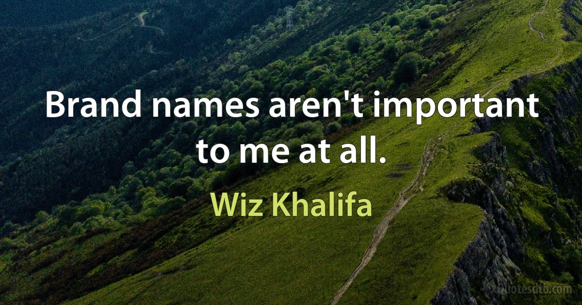 Brand names aren't important to me at all. (Wiz Khalifa)