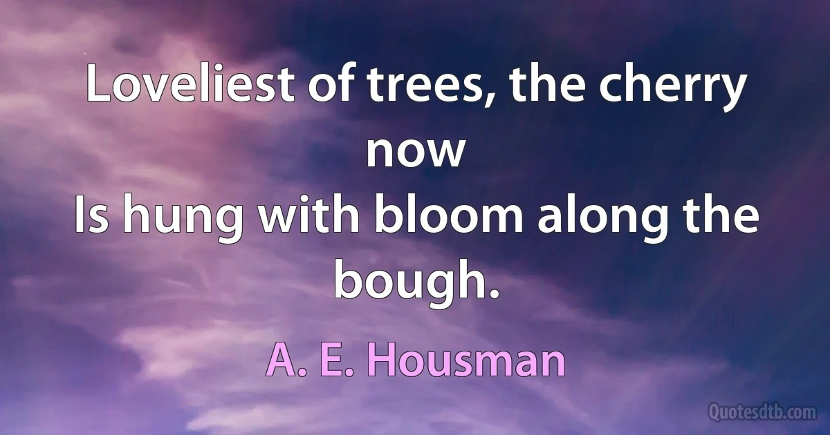 Loveliest of trees, the cherry now
Is hung with bloom along the bough. (A. E. Housman)