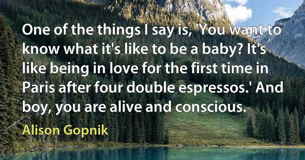 One of the things I say is, 'You want to know what it's like to be a baby? It's like being in love for the first time in Paris after four double espressos.' And boy, you are alive and conscious. (Alison Gopnik)