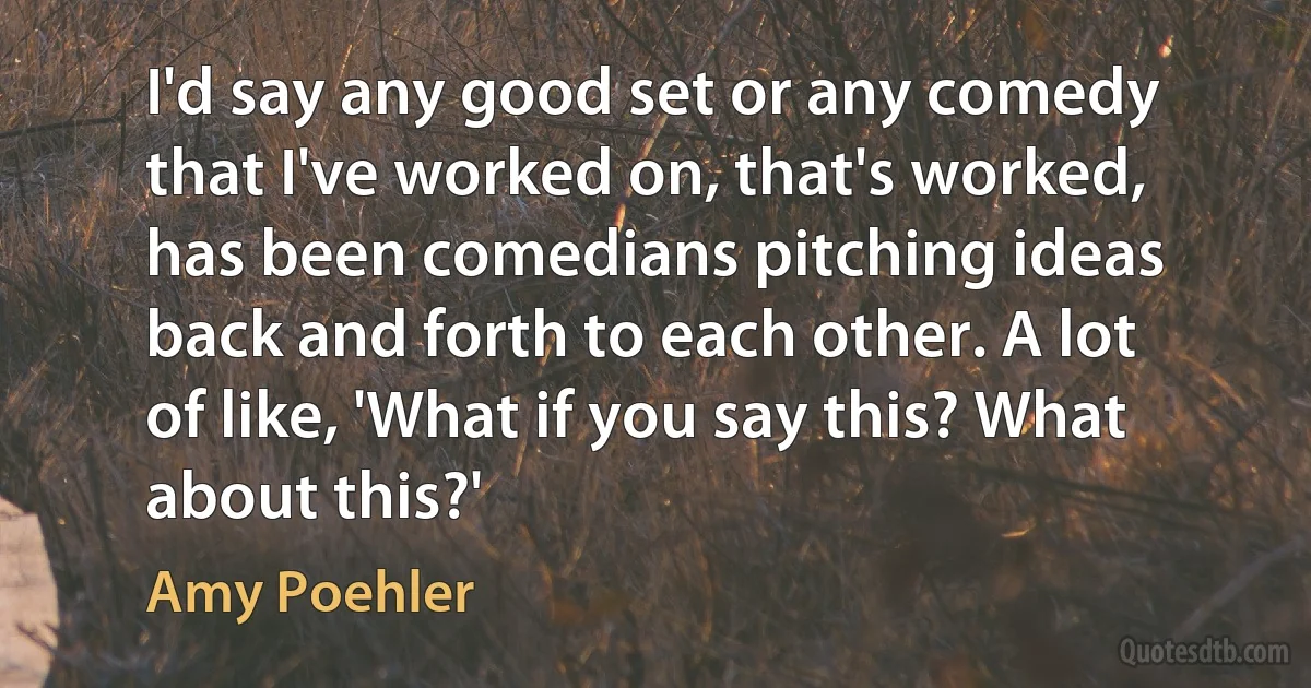 I'd say any good set or any comedy that I've worked on, that's worked, has been comedians pitching ideas back and forth to each other. A lot of like, 'What if you say this? What about this?' (Amy Poehler)