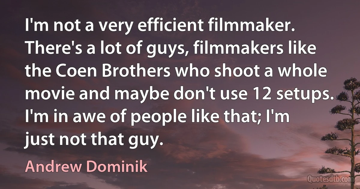 I'm not a very efficient filmmaker. There's a lot of guys, filmmakers like the Coen Brothers who shoot a whole movie and maybe don't use 12 setups. I'm in awe of people like that; I'm just not that guy. (Andrew Dominik)