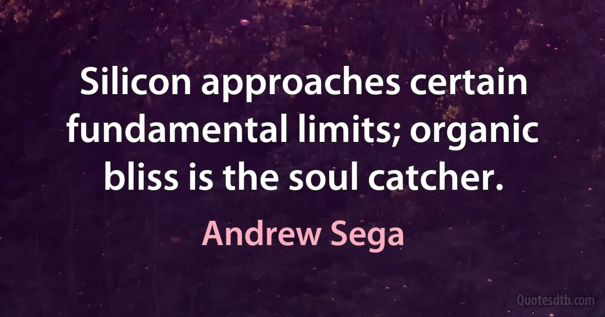 Silicon approaches certain fundamental limits; organic bliss is the soul catcher. (Andrew Sega)