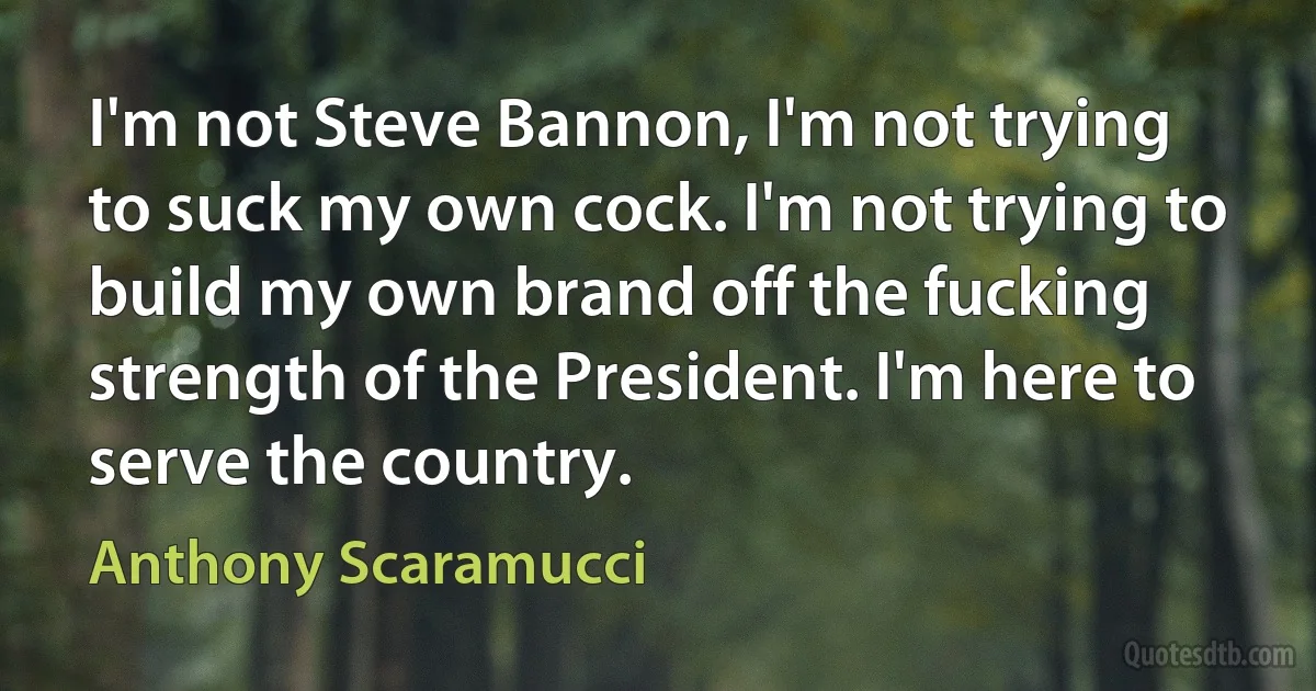 I'm not Steve Bannon, I'm not trying to suck my own cock. I'm not trying to build my own brand off the fucking strength of the President. I'm here to serve the country. (Anthony Scaramucci)