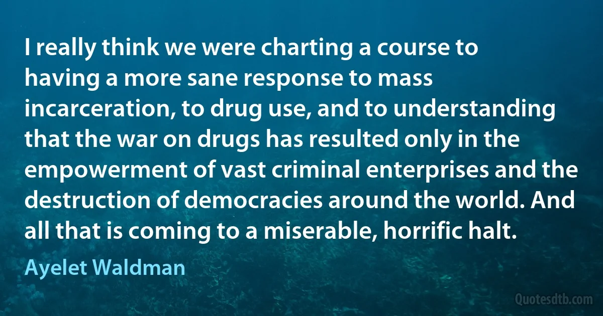 I really think we were charting a course to having a more sane response to mass incarceration, to drug use, and to understanding that the war on drugs has resulted only in the empowerment of vast criminal enterprises and the destruction of democracies around the world. And all that is coming to a miserable, horrific halt. (Ayelet Waldman)