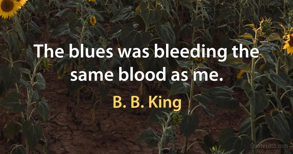 The blues was bleeding the same blood as me. (B. B. King)