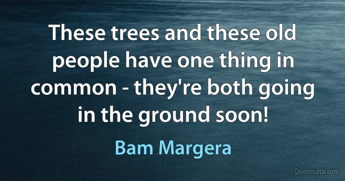 These trees and these old people have one thing in common - they're both going in the ground soon! (Bam Margera)