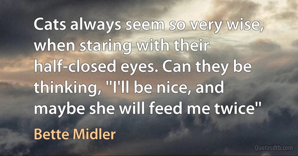 Cats always seem so very wise, when staring with their half-closed eyes. Can they be thinking, ''I'll be nice, and maybe she will feed me twice'' (Bette Midler)