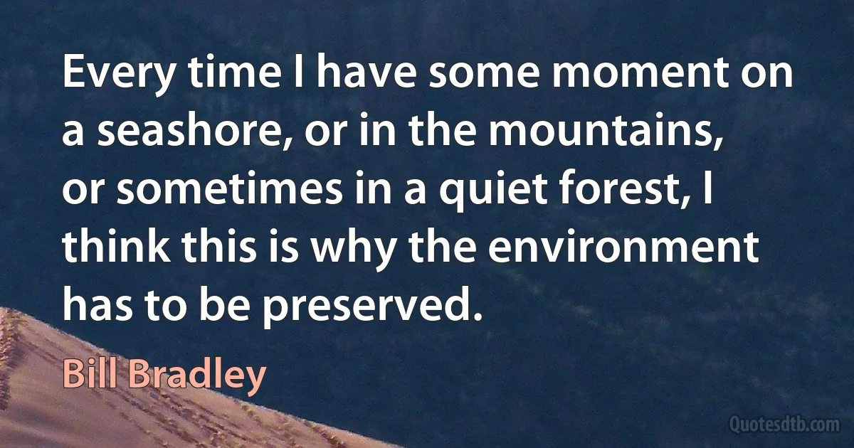 Every time I have some moment on a seashore, or in the mountains, or sometimes in a quiet forest, I think this is why the environment has to be preserved. (Bill Bradley)