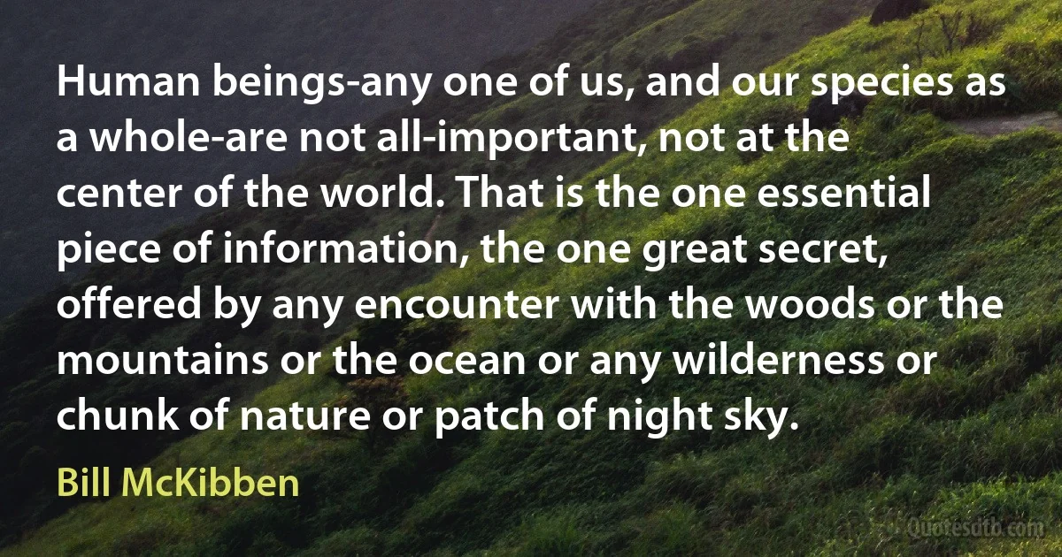 Human beings-any one of us, and our species as a whole-are not all-important, not at the center of the world. That is the one essential piece of information, the one great secret, offered by any encounter with the woods or the mountains or the ocean or any wilderness or chunk of nature or patch of night sky. (Bill McKibben)