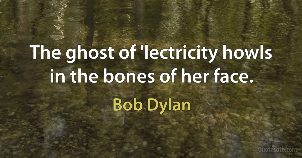 The ghost of 'lectricity howls in the bones of her face. (Bob Dylan)