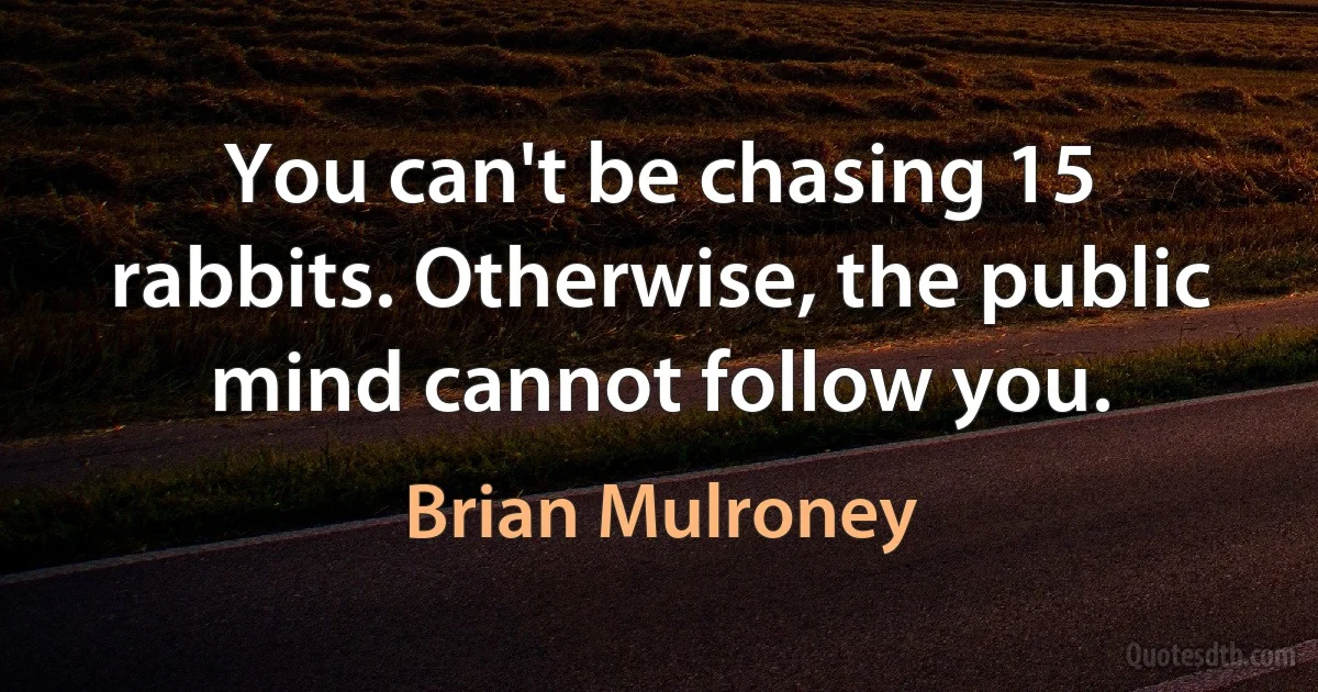 You can't be chasing 15 rabbits. Otherwise, the public mind cannot follow you. (Brian Mulroney)