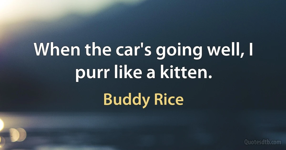 When the car's going well, I purr like a kitten. (Buddy Rice)