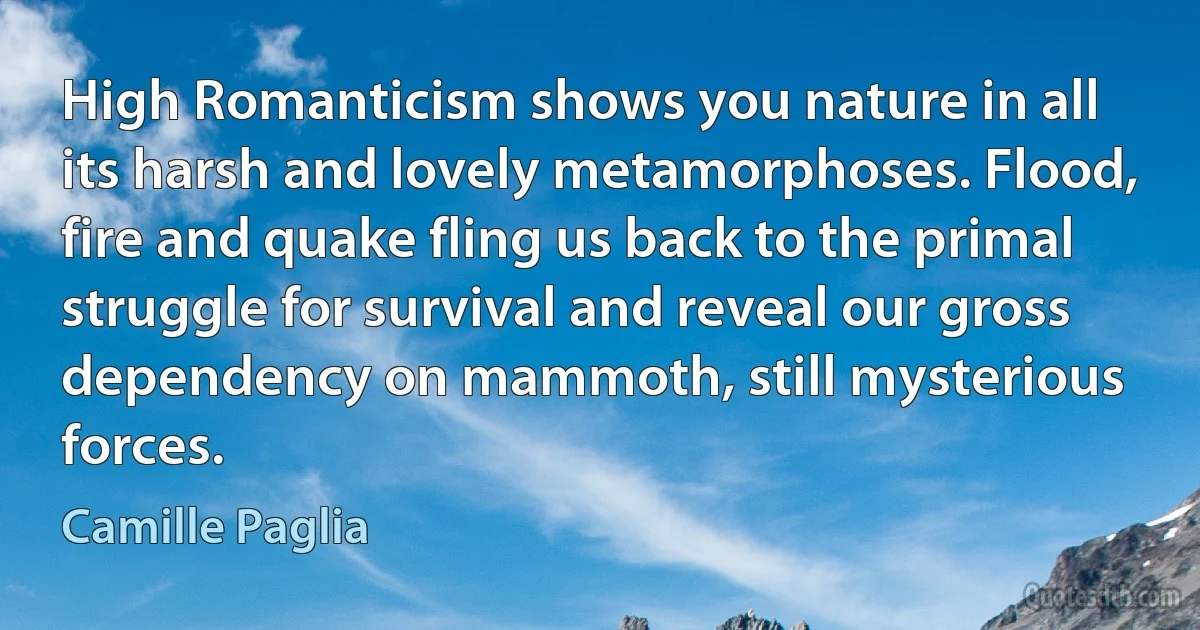 High Romanticism shows you nature in all its harsh and lovely metamorphoses. Flood, fire and quake fling us back to the primal struggle for survival and reveal our gross dependency on mammoth, still mysterious forces. (Camille Paglia)