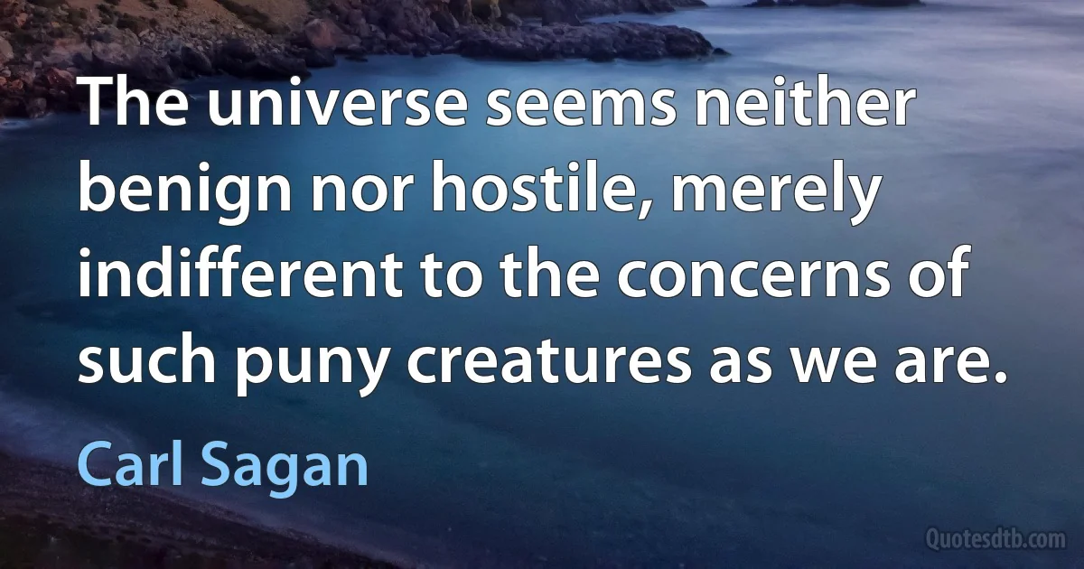 The universe seems neither benign nor hostile, merely indifferent to the concerns of such puny creatures as we are. (Carl Sagan)