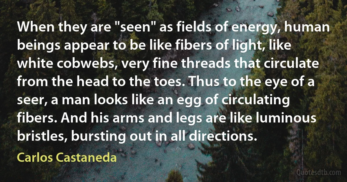 When they are "seen" as fields of energy, human beings appear to be like fibers of light, like white cobwebs, very fine threads that circulate from the head to the toes. Thus to the eye of a seer, a man looks like an egg of circulating fibers. And his arms and legs are like luminous bristles, bursting out in all directions. (Carlos Castaneda)