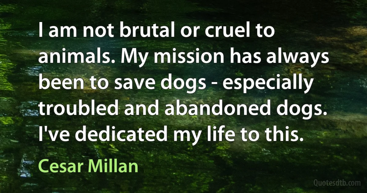 I am not brutal or cruel to animals. My mission has always been to save dogs - especially troubled and abandoned dogs. I've dedicated my life to this. (Cesar Millan)