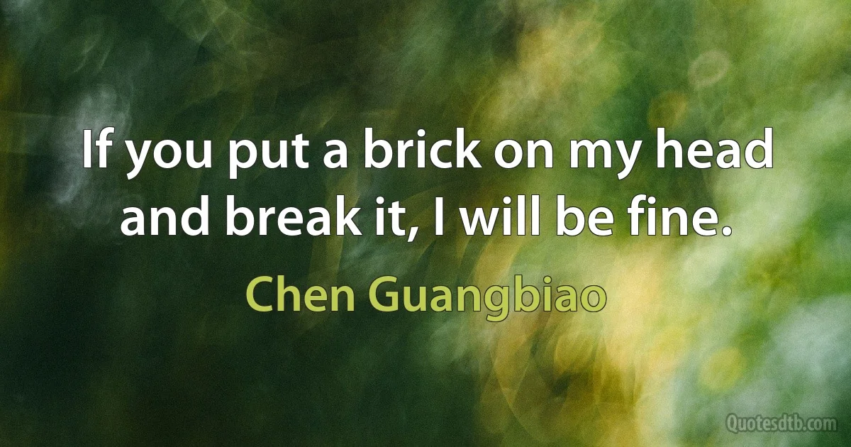 If you put a brick on my head and break it, I will be fine. (Chen Guangbiao)