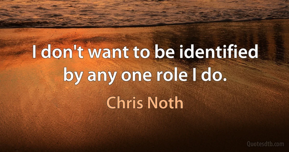 I don't want to be identified by any one role I do. (Chris Noth)