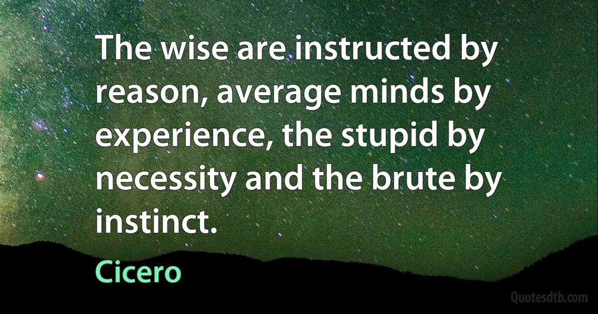 The wise are instructed by reason, average minds by experience, the stupid by necessity and the brute by instinct. (Cicero)