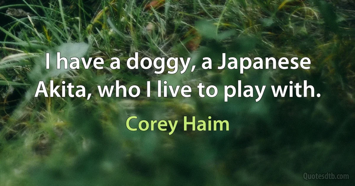 I have a doggy, a Japanese Akita, who I live to play with. (Corey Haim)