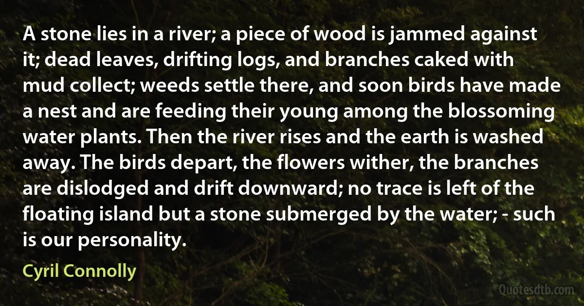 A stone lies in a river; a piece of wood is jammed against it; dead leaves, drifting logs, and branches caked with mud collect; weeds settle there, and soon birds have made a nest and are feeding their young among the blossoming water plants. Then the river rises and the earth is washed away. The birds depart, the flowers wither, the branches are dislodged and drift downward; no trace is left of the floating island but a stone submerged by the water; - such is our personality. (Cyril Connolly)