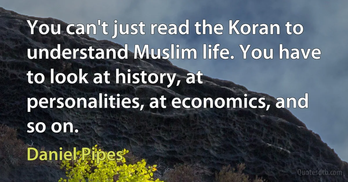 You can't just read the Koran to understand Muslim life. You have to look at history, at personalities, at economics, and so on. (Daniel Pipes)