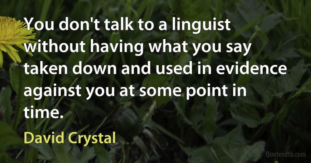 You don't talk to a linguist without having what you say taken down and used in evidence against you at some point in time. (David Crystal)