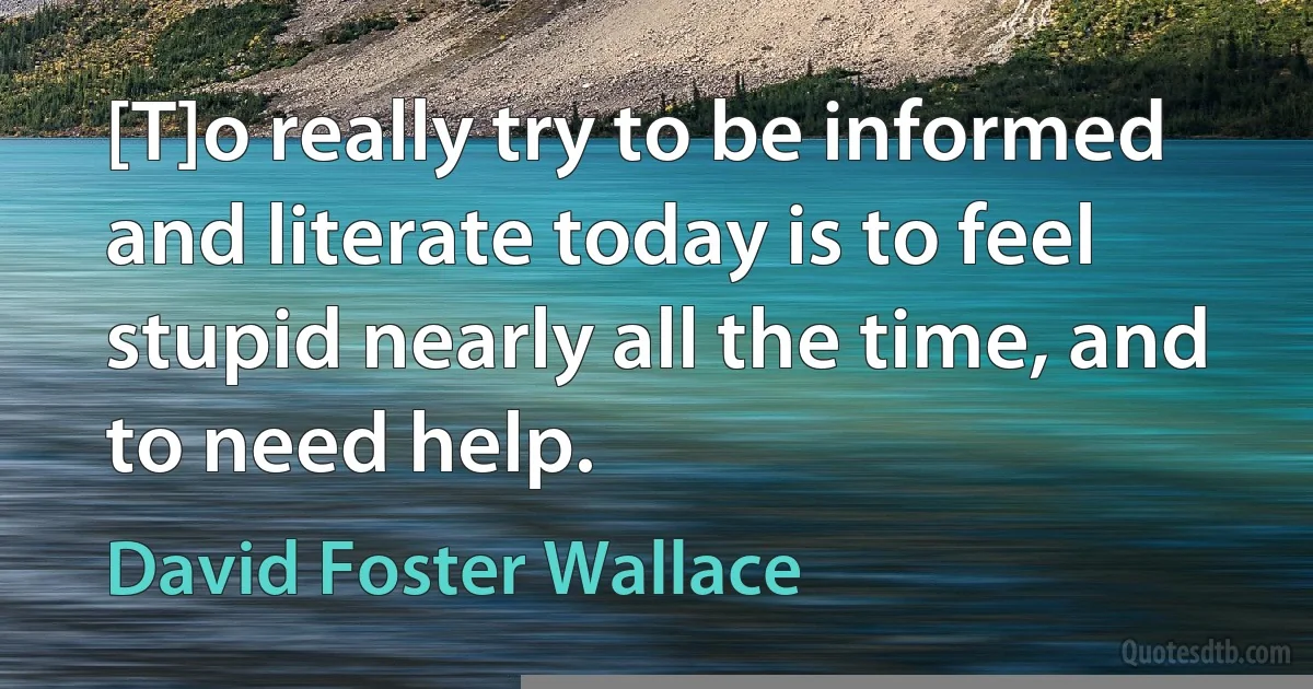 [T]o really try to be informed and literate today is to feel stupid nearly all the time, and to need help. (David Foster Wallace)