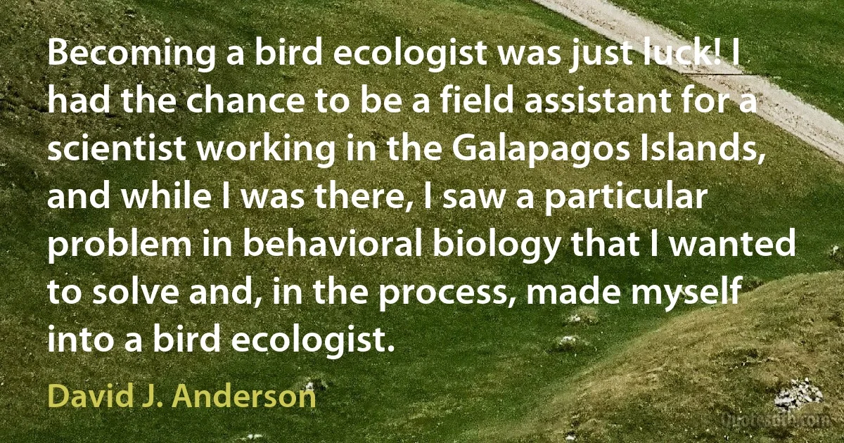 Becoming a bird ecologist was just luck! I had the chance to be a field assistant for a scientist working in the Galapagos Islands, and while I was there, I saw a particular problem in behavioral biology that I wanted to solve and, in the process, made myself into a bird ecologist. (David J. Anderson)