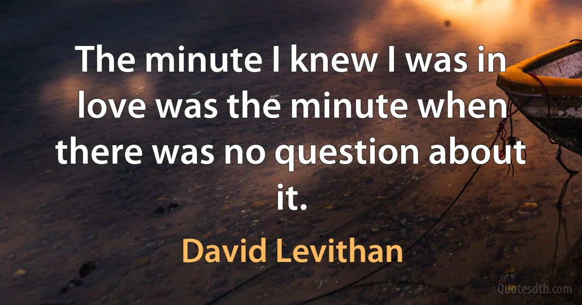 The minute I knew I was in love was the minute when there was no question about it. (David Levithan)