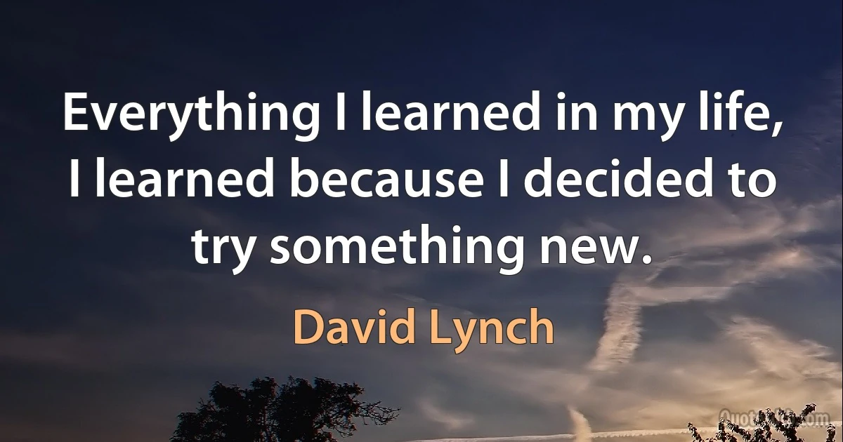 Everything I learned in my life, I learned because I decided to try something new. (David Lynch)