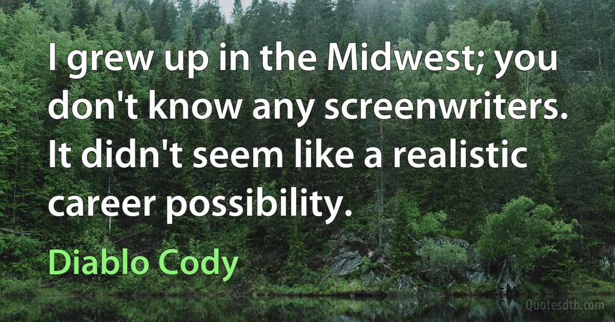 I grew up in the Midwest; you don't know any screenwriters. It didn't seem like a realistic career possibility. (Diablo Cody)