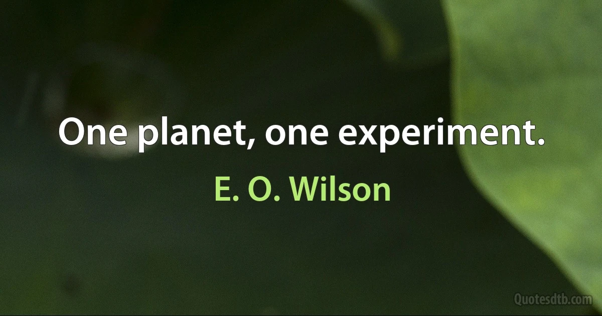 One planet, one experiment. (E. O. Wilson)