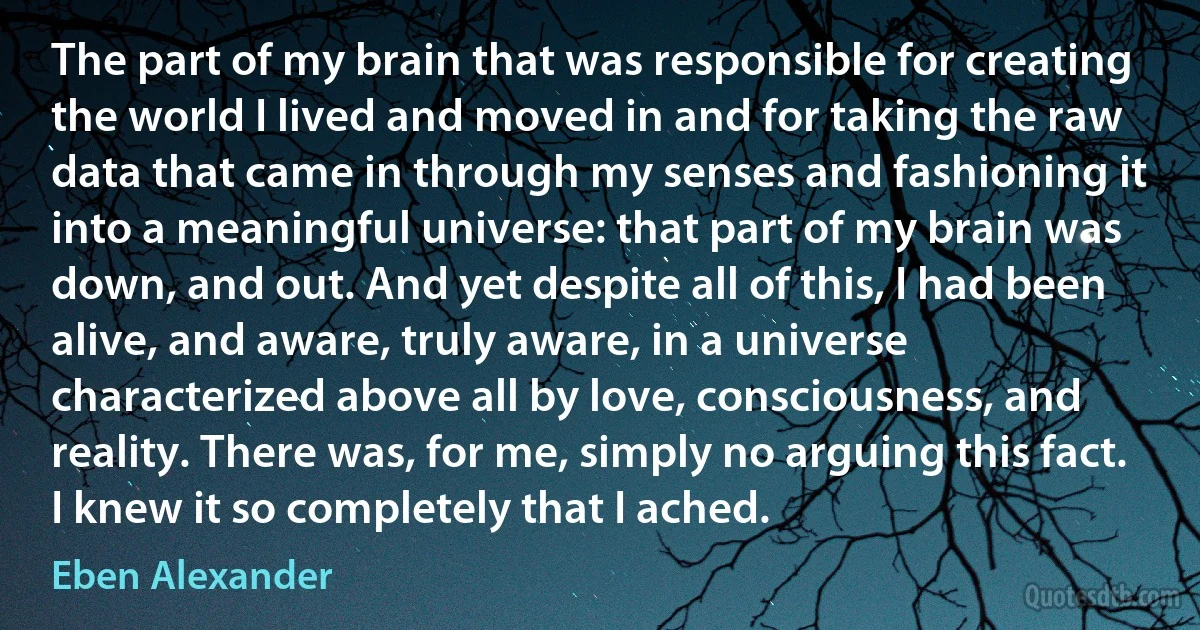 The part of my brain that was responsible for creating the world I lived and moved in and for taking the raw data that came in through my senses and fashioning it into a meaningful universe: that part of my brain was down, and out. And yet despite all of this, I had been alive, and aware, truly aware, in a universe characterized above all by love, consciousness, and reality. There was, for me, simply no arguing this fact. I knew it so completely that I ached. (Eben Alexander)